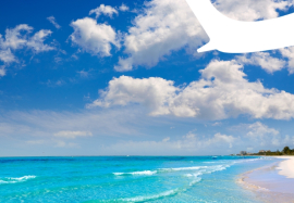 thumbnail: NEW NON-STOP SERVICE TO FORT MYERS (RSW)